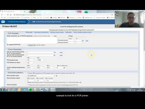video-linktoworks-How to use Primer-Blast to create PCR primers