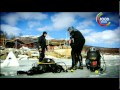 Kill your Meat before you Eat - Gordon Ramsay - Giant Crab