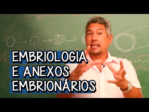 embriologia - Essa videoaula faz parte do módulo de Embriologia e Anexos Embrionários. Para ver o próximo vídeo do módulo, vá em http://bit.ly/14T4w8T :)