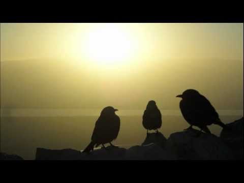 Child of God by Kawika Child of God by Kawika