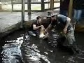 Dangerous Animals Crazy Guy Dangerous Animals Crazy Guy