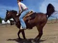 Western/Bareback Jumping Western/Bareback Jumping