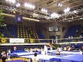 Chutes Trampoline Chutes Trampoline