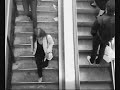 Escaliers � tord