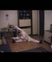 Streching - Razgibavanje - Nikolas Maricic - Wolf