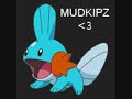 SO I HERD U LEIK MUDKIPZ?