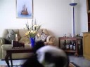 Pandi y su gracia Pandi y su gracia