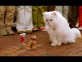 The Truth About Stuart Little