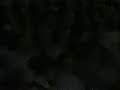 Search Video