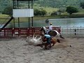 Uma das melhores fêmeas do Brasil de vaquejada.