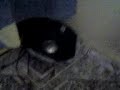 cris brown-kiss kiss