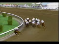 A.P. Indy - 1992 Breeders Cup Classic A.P. Indy - 1992 Breeders Cup Classic