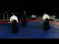 Takeda Ryu Demonstration