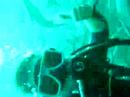 Shark diving Fiji