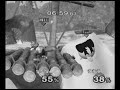 NAS Bi-Weeklies 1.5 Final: Yomi(Fox) vs Shyne(Jiggz) 4