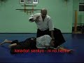 SHIKADO AIKIDO sankyo variations SHIKADO AIKIDO sankyo variations