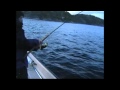Angeln in Norwegen- Reisebericht vom Namsenfjord.mp4
