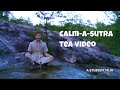 Calm-A-Sutra 2009: Don't Stop Till You Get Enough (Tea!)