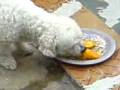 videos de MOV00001.3gp