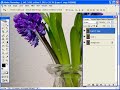 Digital Scrapbooking Tutorial - Blend Modes