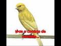 Animais Silvestres, Exóticos e Domésticos
