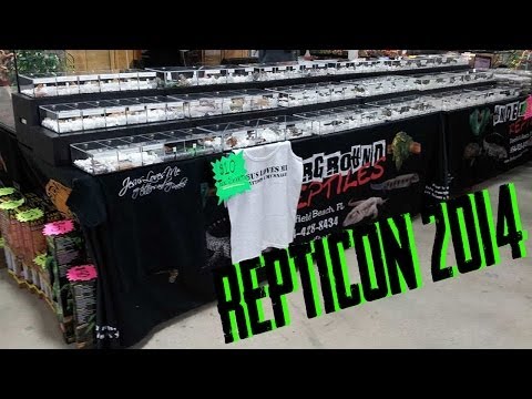 YouTube reptile video
