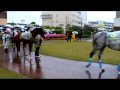 かしわ記念動画7