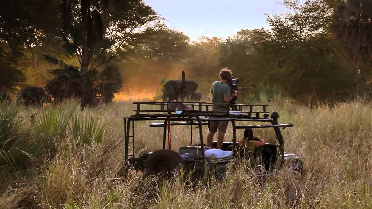 Healing Africa's Elephants Trailer