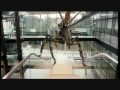 Primeval (Ep. 3.10 Preview)