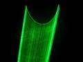 Super-1 Laser Sound Activation