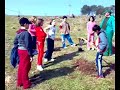 reforestaci-n-cero-de-los-pinos-15208-aldea-moret-.html