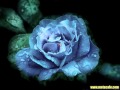 r_9aoHUcqQA