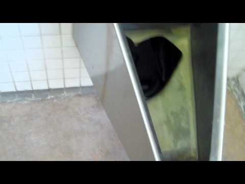 how to unclog a men's urinal