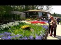 Victoria-Butchart Gardens- 维多利亚市布查德花园(2)