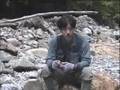 ナナホシテントウ動画4