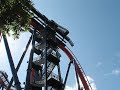 mily na sheikra - Busch Gardens mily na sheikra - Busch Gardens