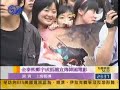 woo sung in Shanghai