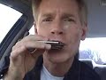 blues harmonica secrets revealed  gussow 008 