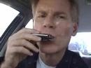 Blues Harmonica Secrets Revealed (Gussow.008)