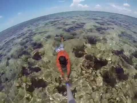 Snorkling in John Pennekamp coral reef state park in key largo FL