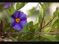 Amazing Photography With Nikon D50