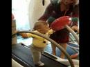 the very first steps