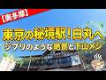 【東京の秘境】まるでジブリの世界。白丸駅から始まる、ノスタルジックな奥多摩ひとり旅。