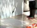 Decorative Concrete Epoxy Chattahoochee Training Video