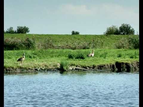 Steurgat-Land van Altena dijkverbetering