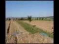 Stroh holen im Westerwald (Wied bei Hachenburg)