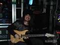 Spotlight on Bumblefoot
