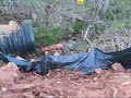Erosion Problem Near Bent Creek