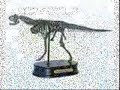 A Tribute To Carnotaurus