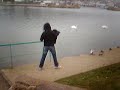 Elot et les pigeons